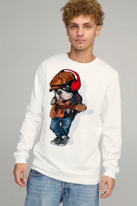 Свитшот мужской BASIC /no flis/