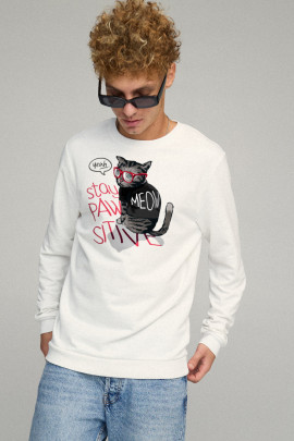 Свитшот мужской BASIC /no flis/