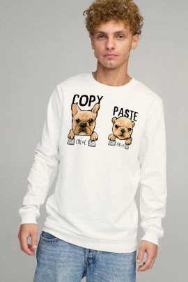 Свитшот мужской BASIC /no flis/