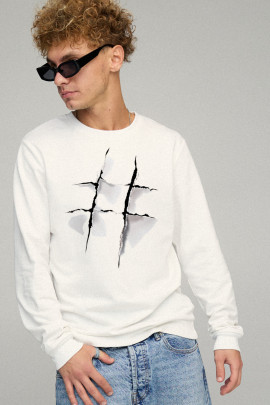 Свитшот мужской BASIC /no flis/