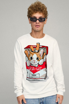 Свитшот мужской BASIC /no flis/