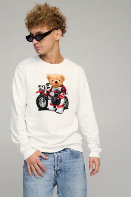 Свитшот мужской BASIC /no flis/