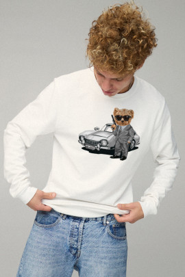 Свитшот мужской BASIC /no flis/