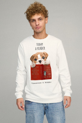 Свитшот мужской BASIC /no flis/