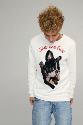 Свитшот мужской BASIC /no flis/