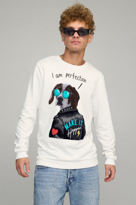 Свитшот мужской BASIC /no flis/