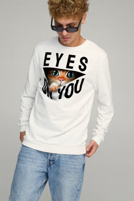 Свитшот мужской BASIC /no flis/