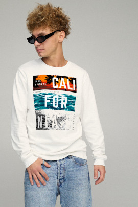 Свитшот мужской BASIC /no flis/