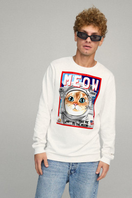 Свитшот мужской BASIC /no flis/