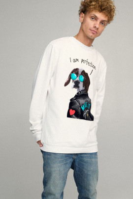 Свитшот мужской OVERSIZE /no flis/