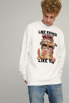 Свитшот мужской OVERSIZE /no flis/