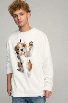 Свитшот мужской OVERSIZE /no flis/