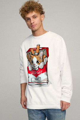 Свитшот мужской OVERSIZE /no flis/