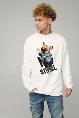 Свитшот мужской OVERSIZE /no flis/