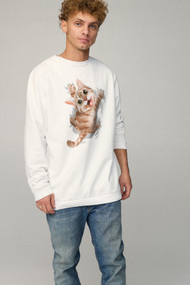 Свитшот мужской OVERSIZE /no flis/