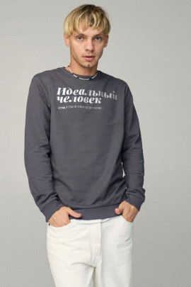 Свитшот мужской BASIC /no flis/