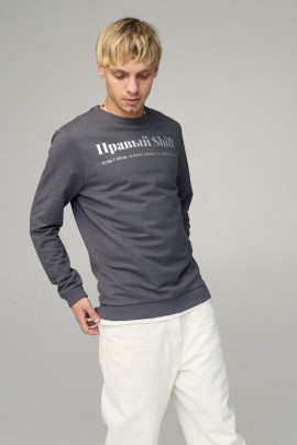 Свитшот мужской BASIC /no flis/