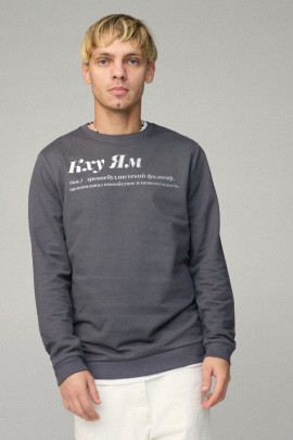 Свитшот мужской BASIC /no flis/