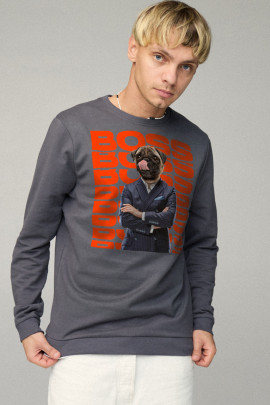 Свитшот мужской BASIC /no flis/