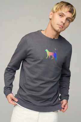 Свитшот мужской BASIC /no flis/