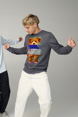 Свитшот мужской BASIC /no flis/