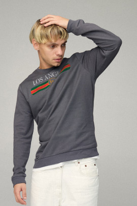 Свитшот мужской BASIC /no flis/