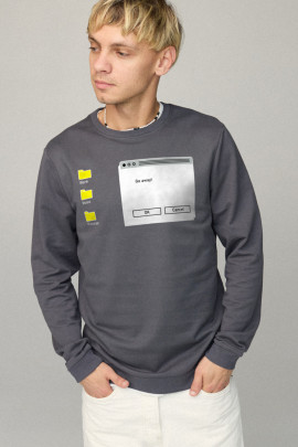 Свитшот мужской BASIC /no flis/