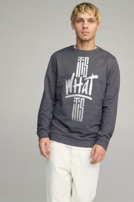 Свитшот мужской BASIC /no flis/