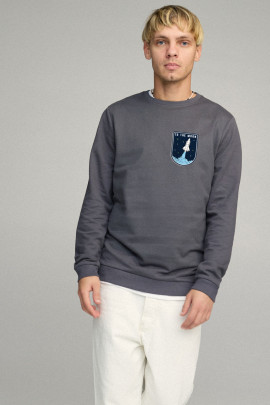 Свитшот мужской BASIC /no flis/