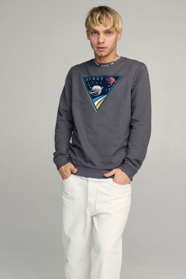 Свитшот мужской BASIC /no flis/