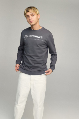 Свитшот мужской BASIC /no flis/