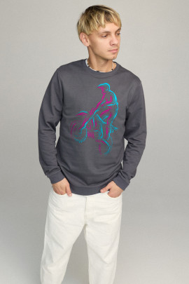 Свитшот мужской BASIC /no flis/