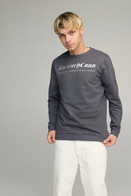 Свитшот мужской BASIC /no flis/