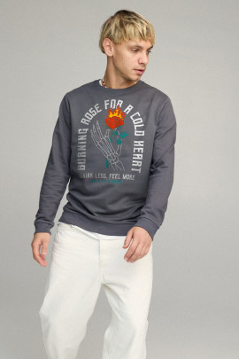 Свитшот мужской BASIC /no flis/