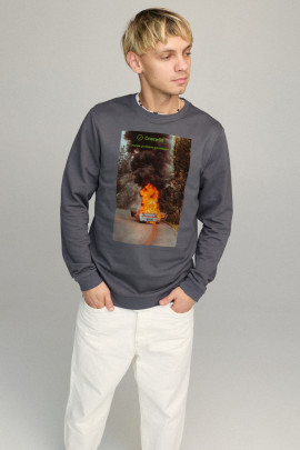 Свитшот мужской BASIC /no flis/