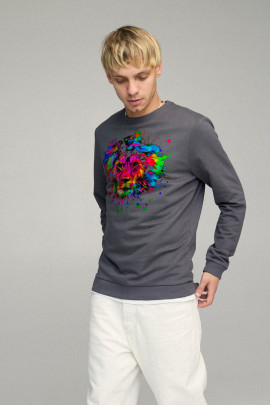 Свитшот мужской BASIC /no flis/