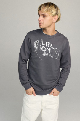 Свитшот мужской BASIC /no flis/