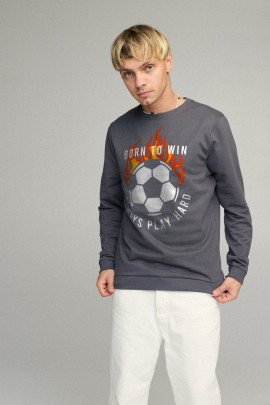 Свитшот мужской BASIC /no flis/