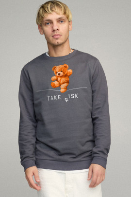 Свитшот мужской BASIC /no flis/