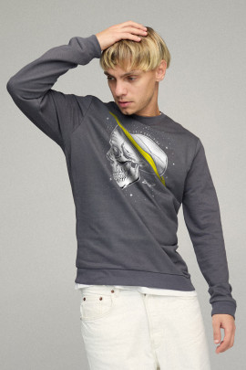 Свитшот мужской BASIC /no flis/