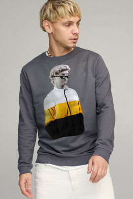 Свитшот мужской BASIC /no flis/