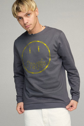 Свитшот мужской BASIC /no flis/