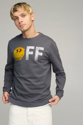 Свитшот мужской BASIC /no flis/