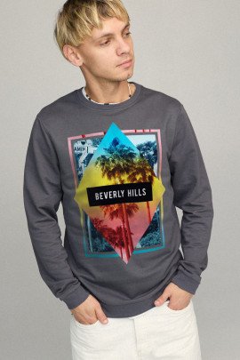 Свитшот мужской BASIC /no flis/