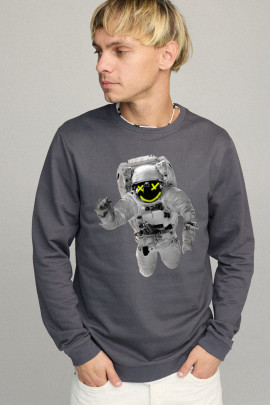 Свитшот мужской BASIC /no flis/