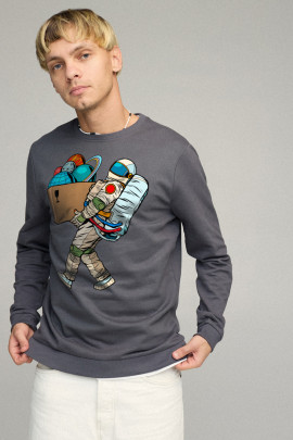 Свитшот мужской BASIC /no flis/