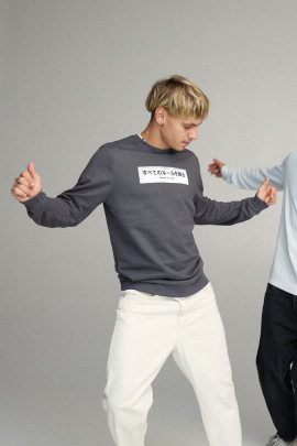 Свитшот мужской BASIC /no flis/