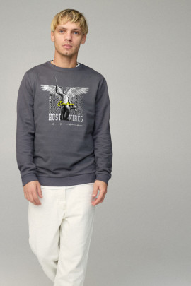 Свитшот мужской BASIC /no flis/