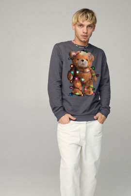 Свитшот мужской BASIC /no flis/