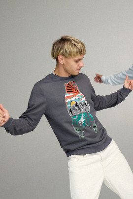 Свитшот мужской BASIC /no flis/